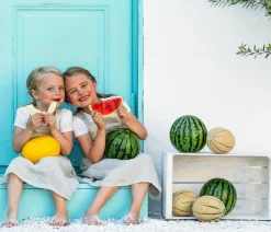 Dehner Gartengemüse|Melonen- & Kürbispflanzen - Mangomelone Gelb