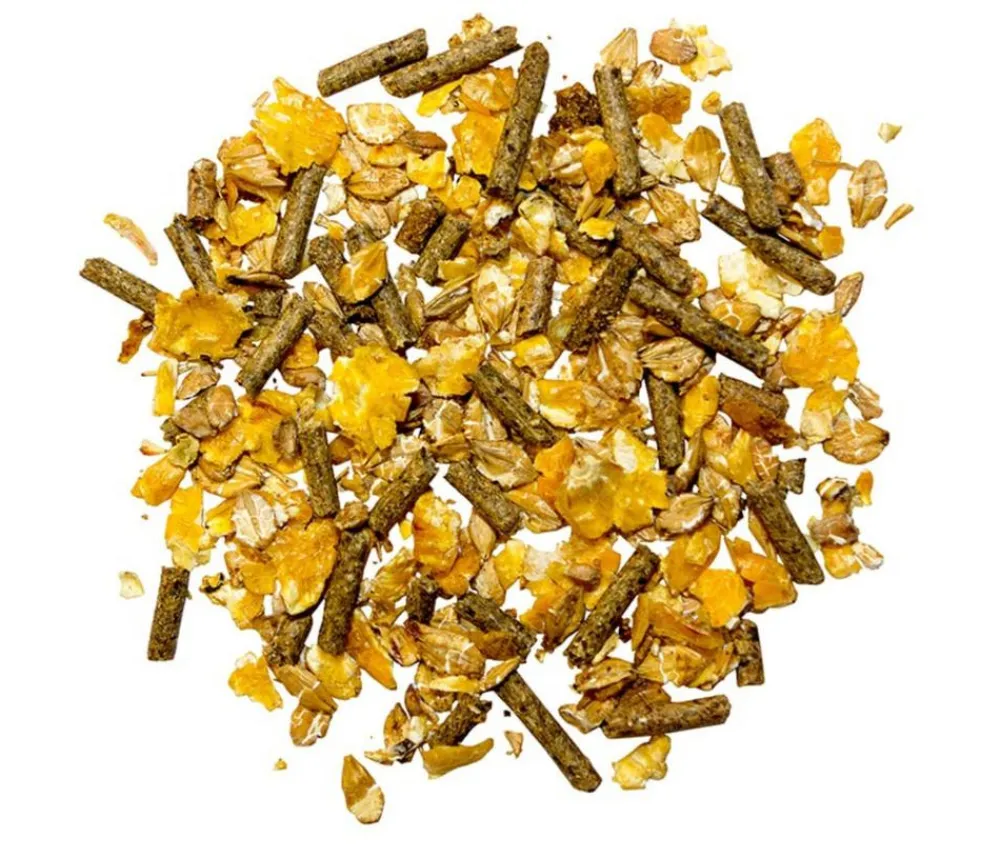 marstall® Pferdefutter & Zusatzfutter > Pferdefutter Müsli Freizeit, 20 kg