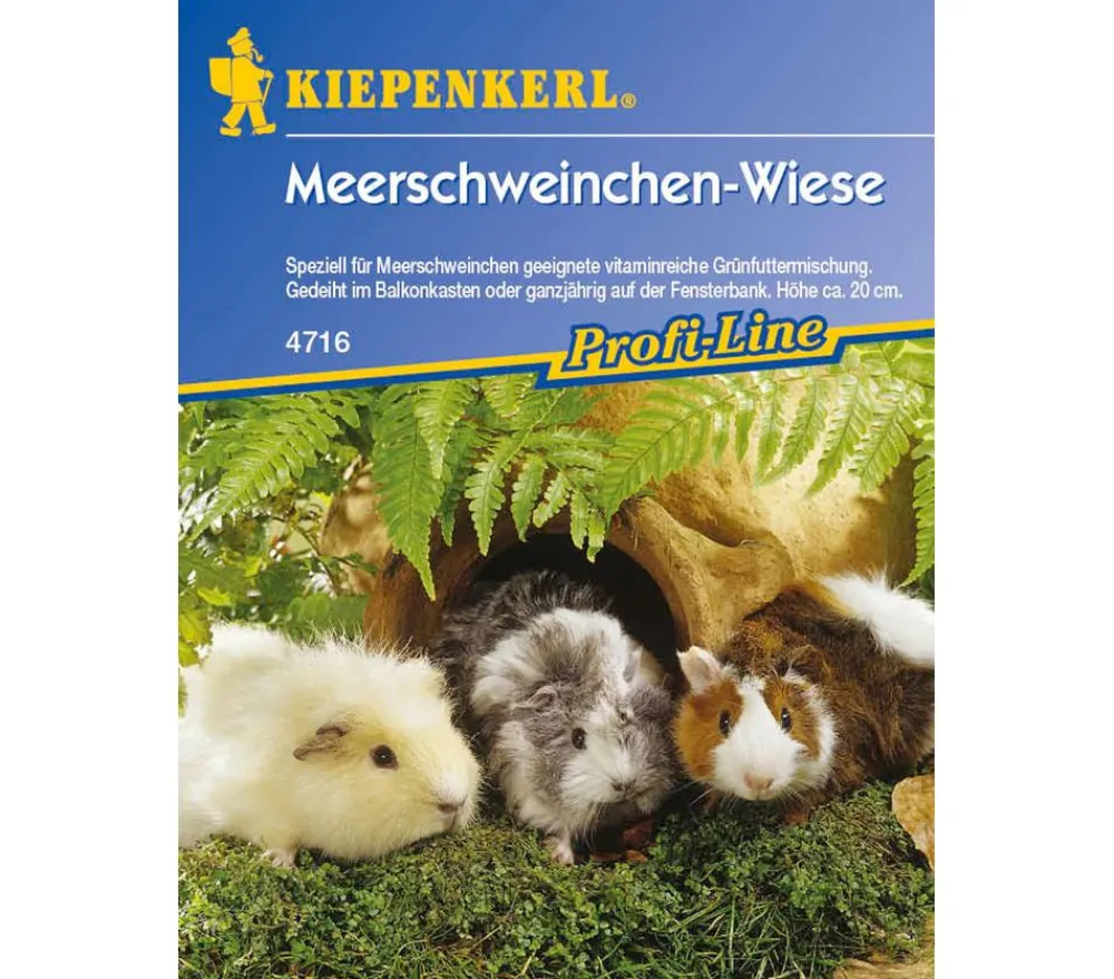 Nebelung/Kiepenkerl Blumensamen > Meerschweinchen-Wiese, Saatgut von Kiepenkerl