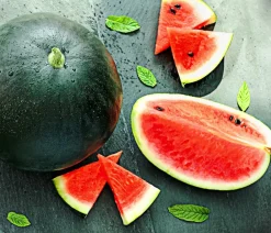 Dehner Weinreben & Gartenobst|Melonen- & Kürbispflanzen - Mini Wassermelone