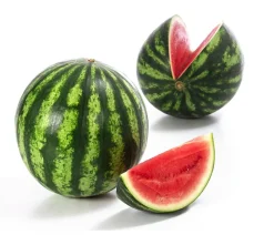 Dehner Weinreben & Gartenobst|Melonen- & Kürbispflanzen - Mini Wassermelone