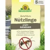 Neudorff Schädlingsbekämpfungsmittel > Bestell-Karte Nützlinge gegen Ameisen, für 5 Nester, 1 Stk.