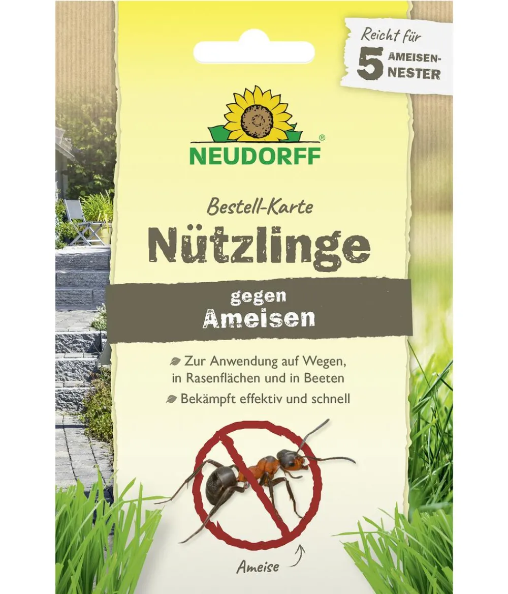Neudorff Schädlingsbekämpfungsmittel > Bestell-Karte Nützlinge gegen Ameisen, für 5 Nester, 1 Stk.