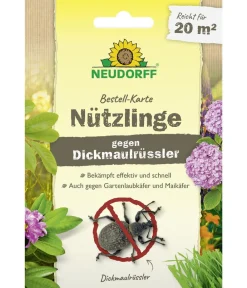 Neudorff Bestell-Karte Nützlinge gegen Dickmaulrüssler, für 20 qm, 1 Stk. Best