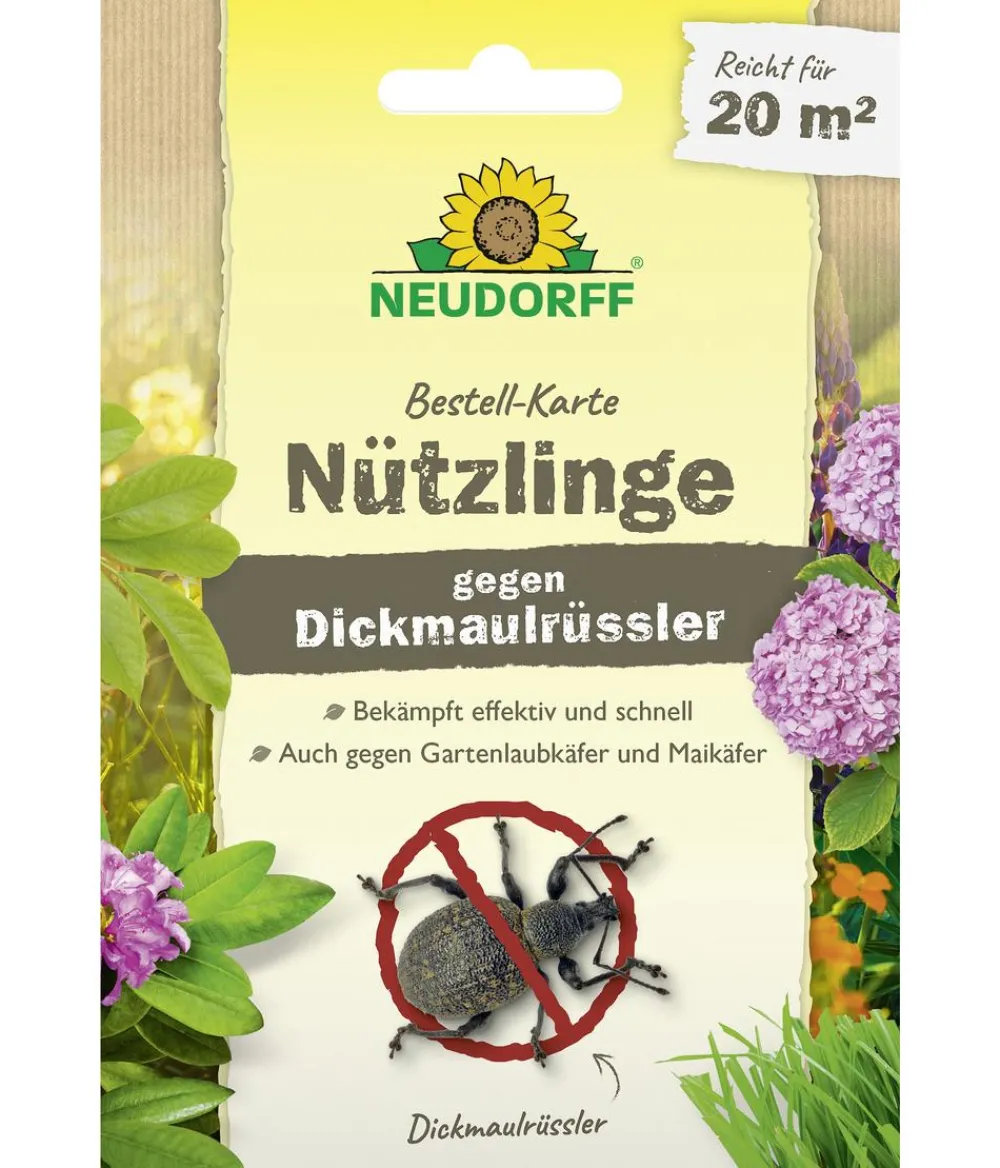 Neudorff Bestell-Karte Nützlinge gegen Dickmaulrüssler, für 20 qm, 1 Stk. Best