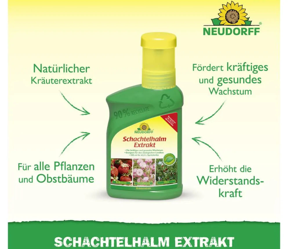 Neudorff Pflanzenstärkung Schachtelhalmextrakt, flüssig, 250 ml Sale
