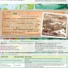 Neudorff Komposter & Abfallbehälter|Spezialdünger - Radivit® Kompost-Beschleuniger, 1 kg