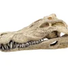 Nobby® Deko > Nobby Aquariumdeko Krokodil Schädel, ca. B26/H9/T14 cm
