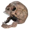 Nobby® Deko > Nobby Aquariumdeko Totenkopf, ca. B20/H16,5/T13,5 cm