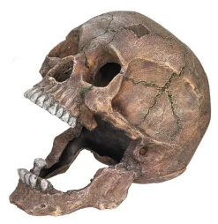 Nobby® Deko > Nobby Aquariumdeko Totenkopf, ca. B20/H16,5/T13,5 cm