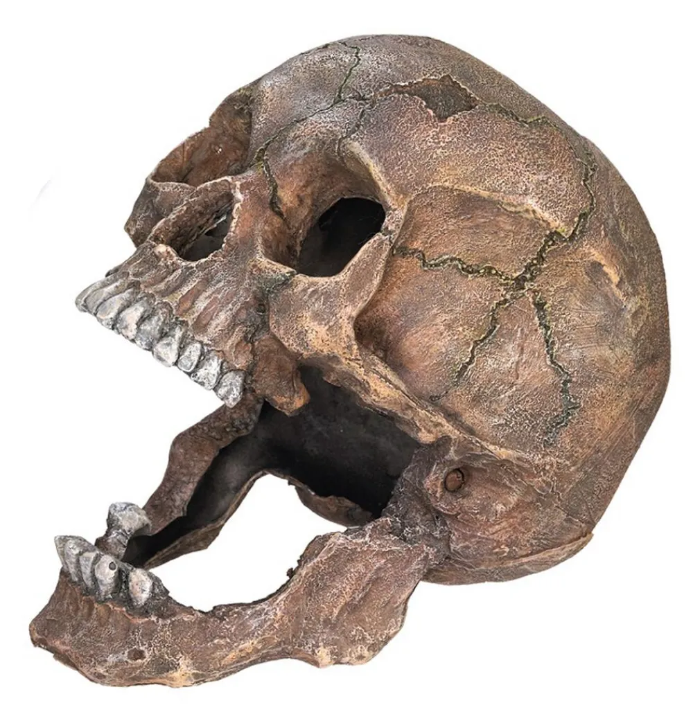 Nobby® Deko > Nobby Aquariumdeko Totenkopf, ca. B20/H16,5/T13,5 cm