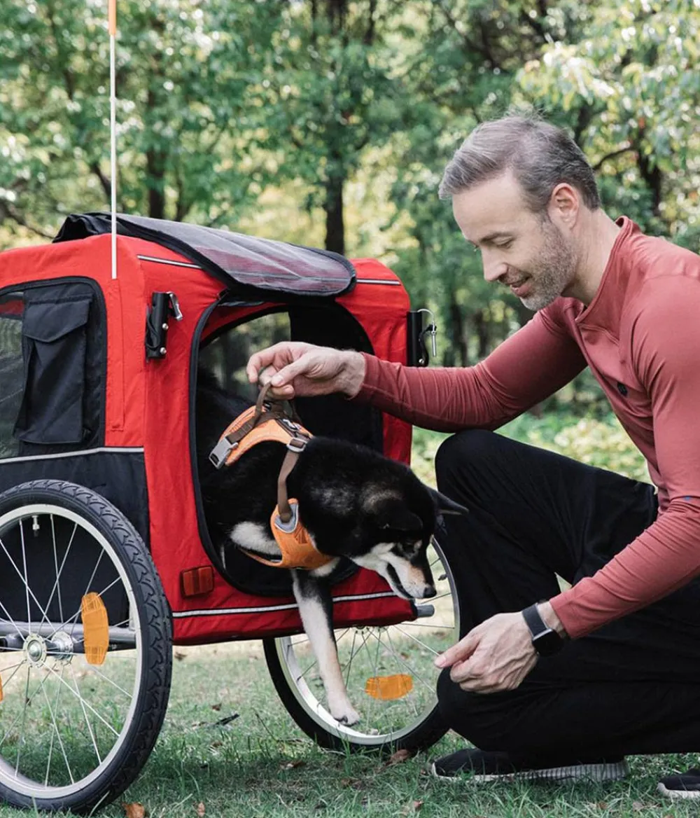 Nobby® Mehr Transport & Unterwegs - Nobby Fahrradanhänger enia