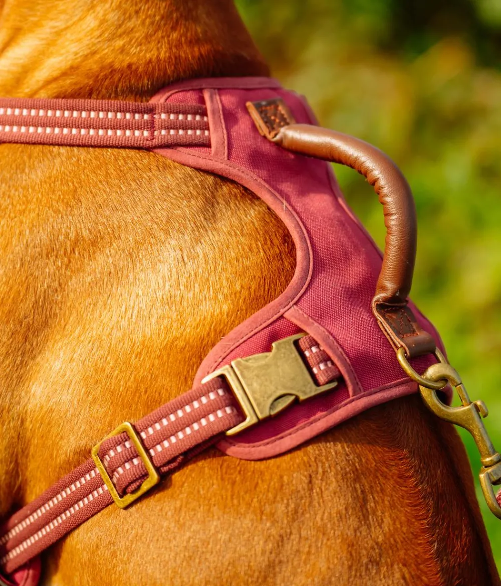 Nobby® Hundehalsbänder & Geschirre - Nobby Hundegechirr porty Rot