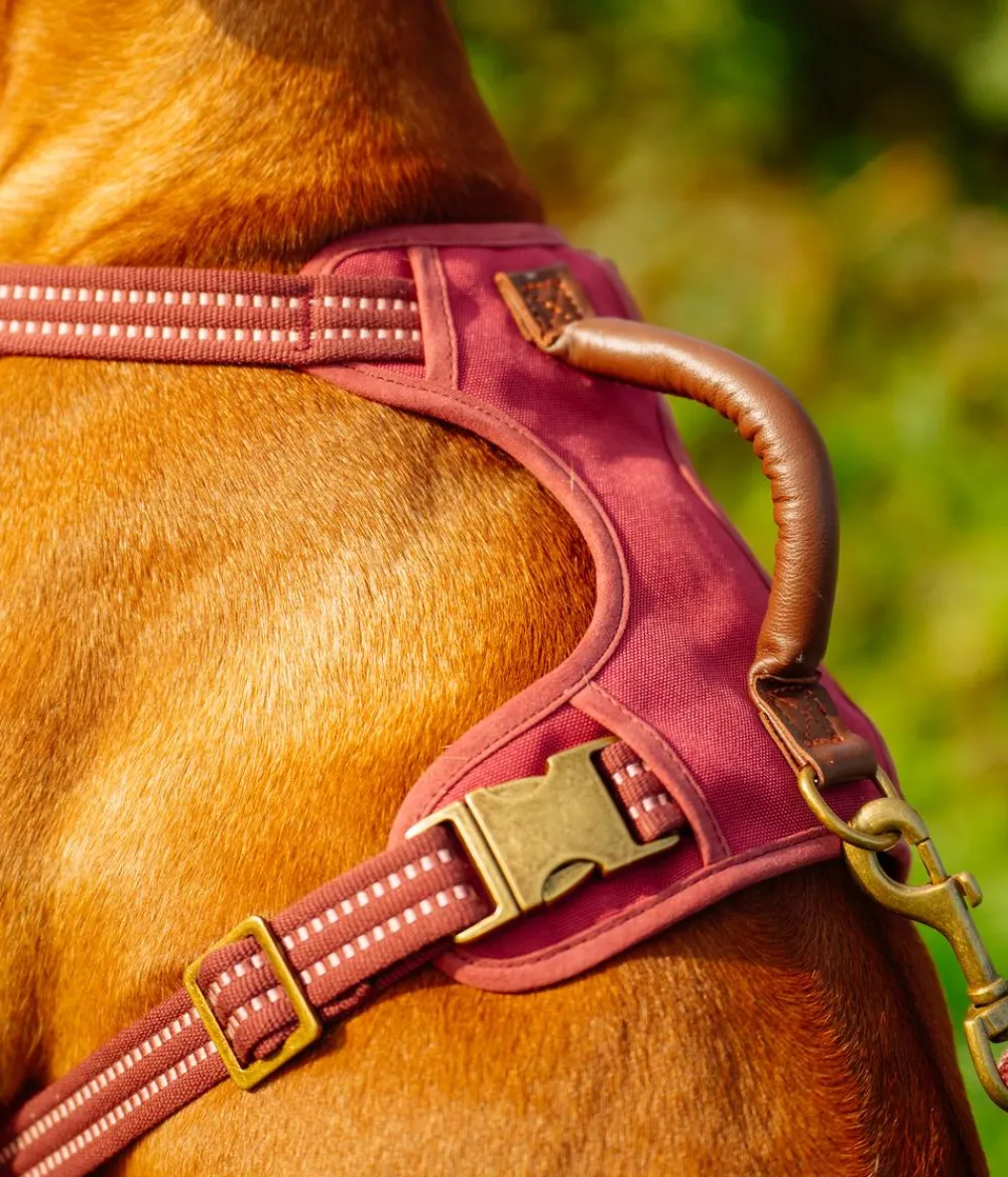 Nobby® Hundehalsbänder & Geschirre - Nobby Hundegechirr porty Rot