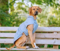 Nobby® Mehr Hundezubehör > Nobby Hundemantel Sela,