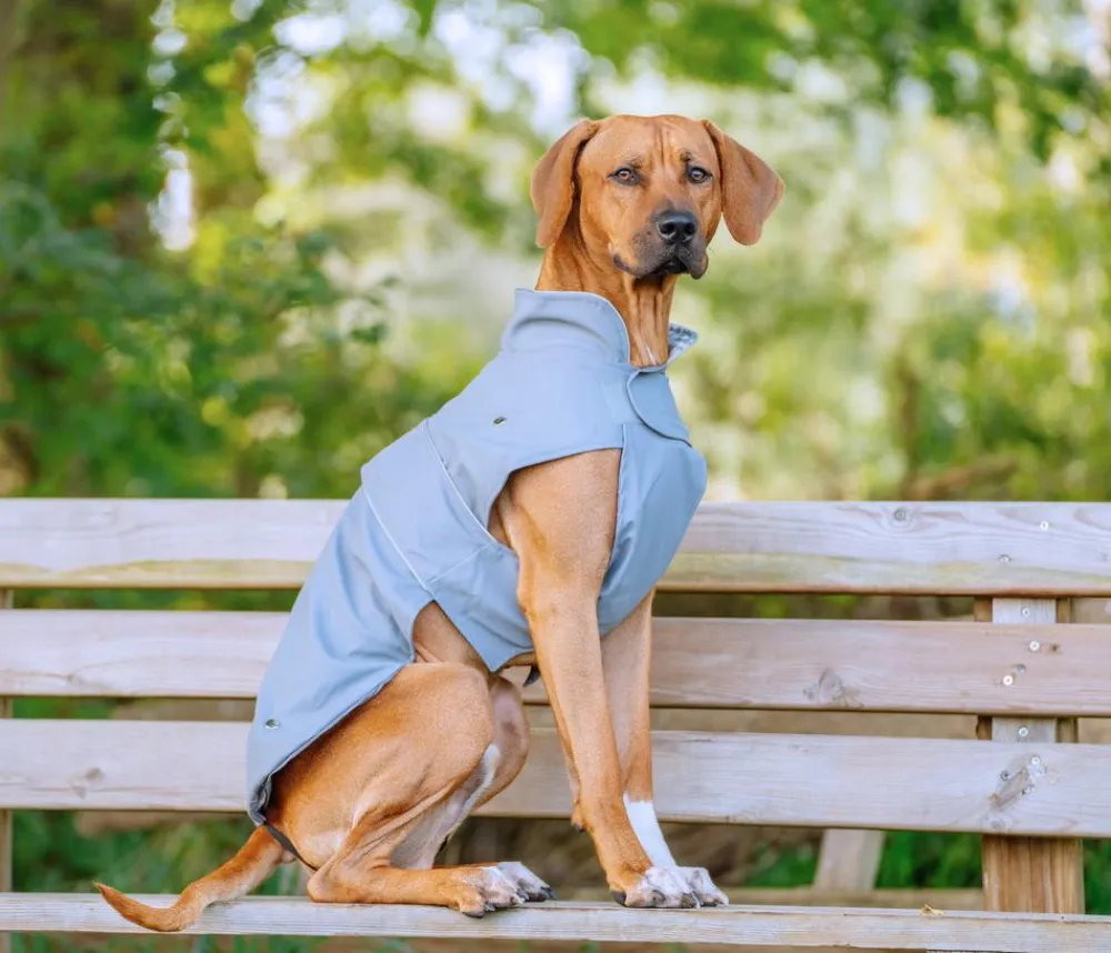 Nobby® Mehr Hundezubehör > Nobby Hundemantel Sela,