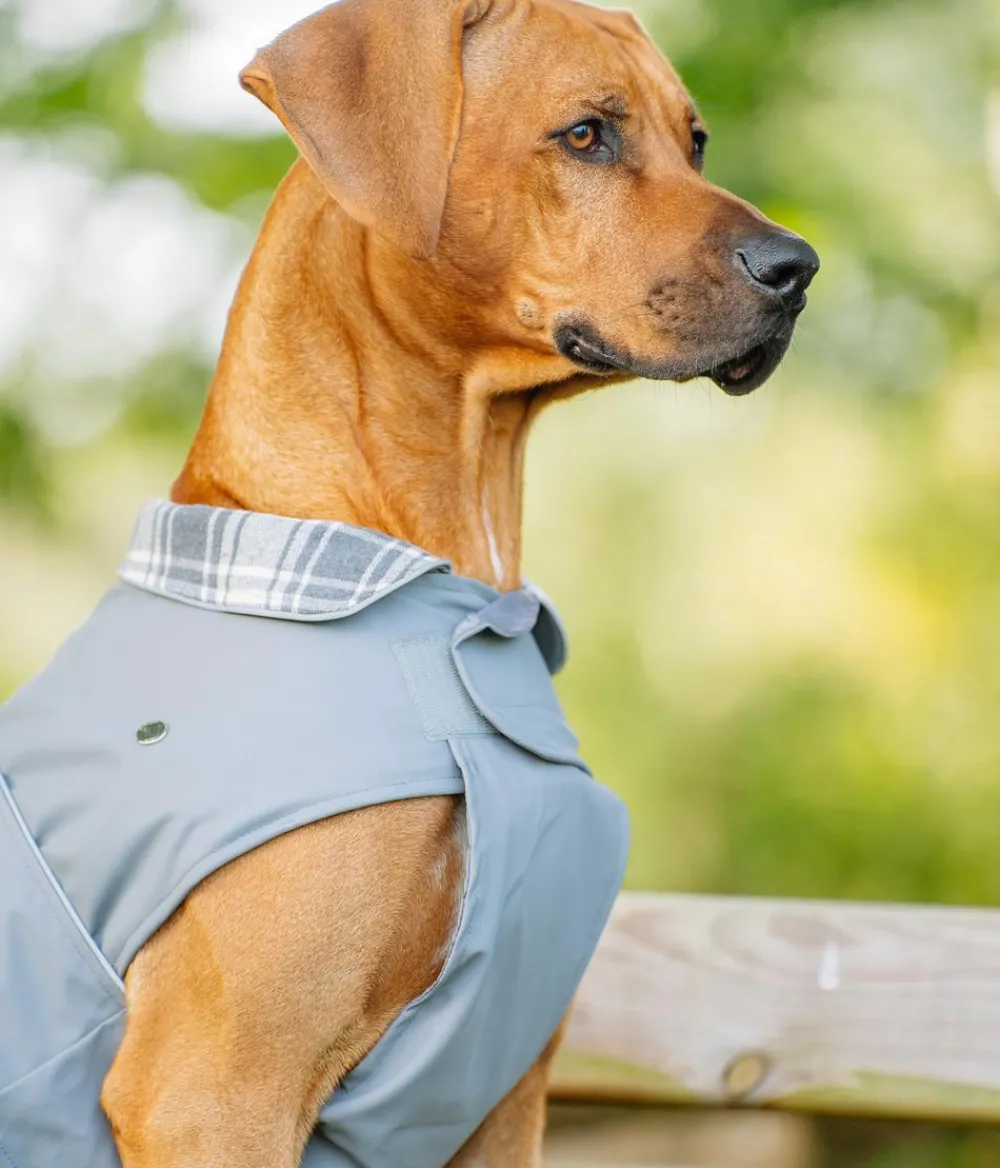 Nobby® Nobby Hundemantel Sela, Grau Online