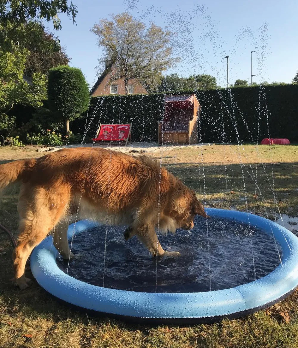 Nobby® Hundespielzeug - Nobby Hundepool Splash Pool, Ø150 cm Blau