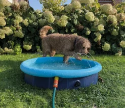 Nobby® Hundespielzeug > Nobby Hundepool Splash Pool 2 in 1
