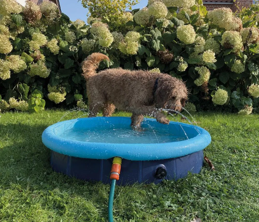 Nobby® Hundespielzeug > Nobby Hundepool Splash Pool 2 in 1