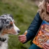 Nobby® Hundesnack StarSnack Barbecue Mini Wrapped Chicken, Hühnchen, 375 g Online