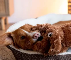 Nobby® Hundespielzeug > Nobby Hundespielzeug Plüschhund Schlapi