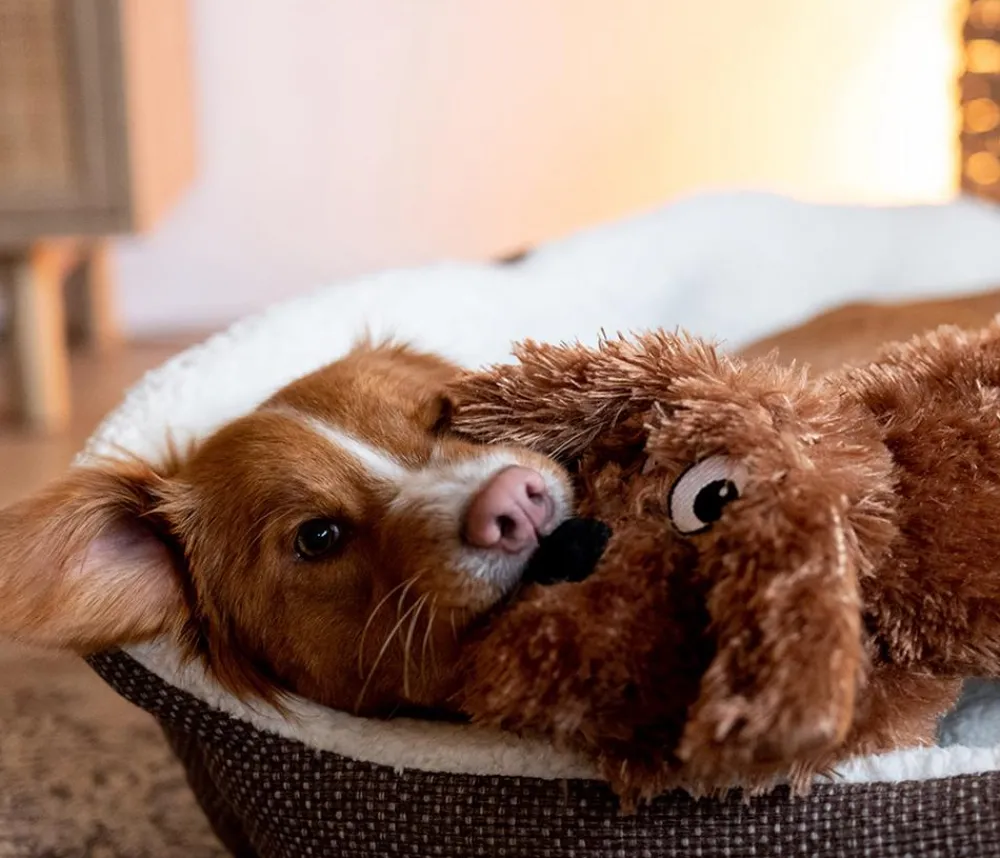 Nobby® Hundespielzeug > Nobby Hundespielzeug Plüschhund Schlapi