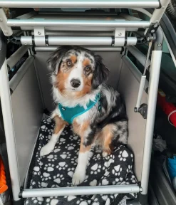 Nobby® Hundetransportboxen - Nobby Hundetranportbox Round Corner