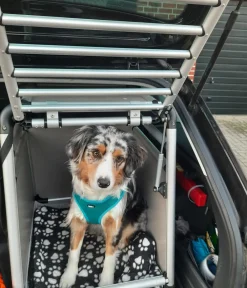 Nobby® Hundetransportboxen - Nobby Hundetranportbox Round Corner