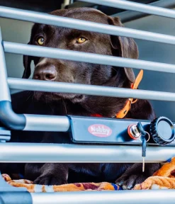 Nobby® Hundetransportboxen - Nobby Hundetranportbox Round Corner