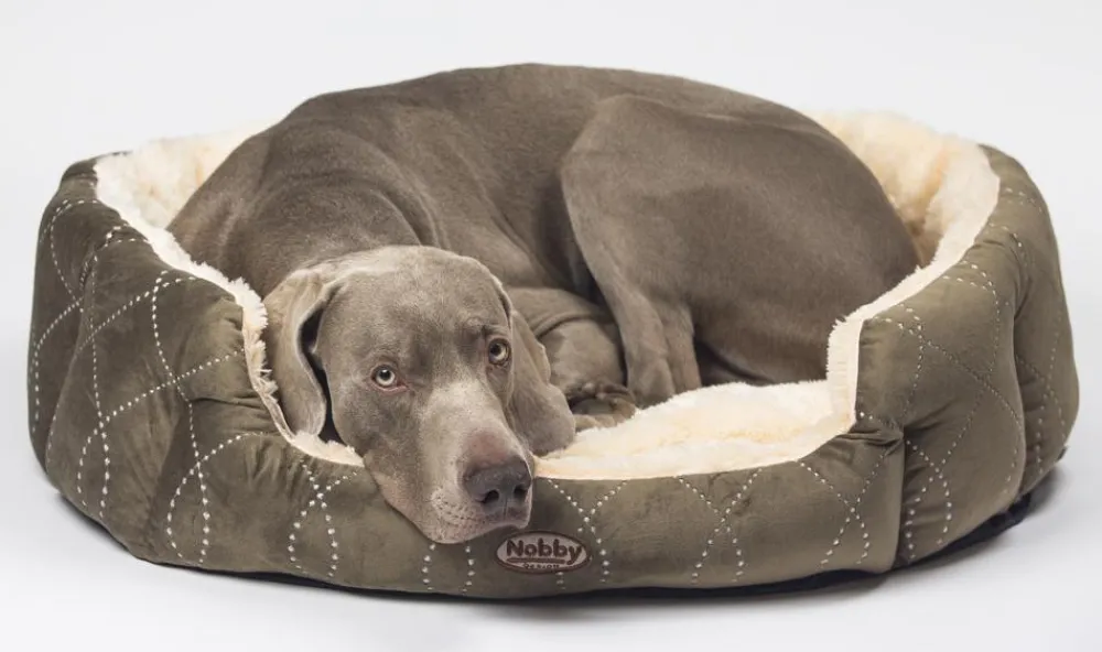 Nobby® Hundebetten & Körbe|Katzenbetten & Katzenkissen > Nobby Komfortbett Ceno, oval