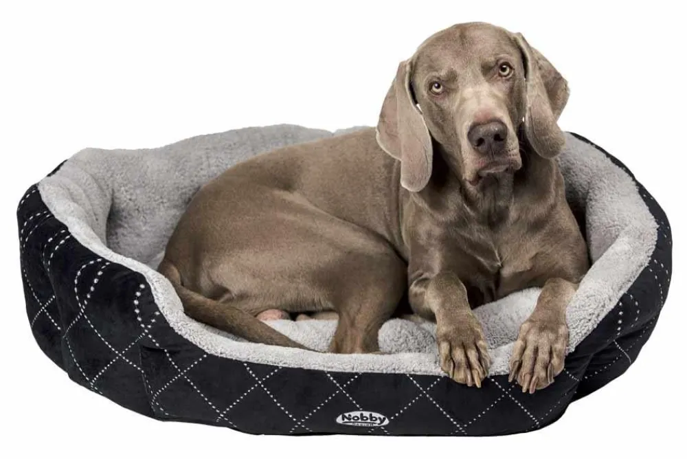 Nobby® Hundebetten & Körbe|Katzenbetten & Katzenkissen - Nobby Komfortbett Ceno, oval