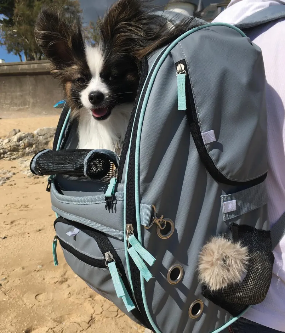 Nobby® Mehr Katzenzubehör|Hundetransportboxen > Nobby Multifunktions-Rucksack Nomad, ca. B26/H27/T45 cm
