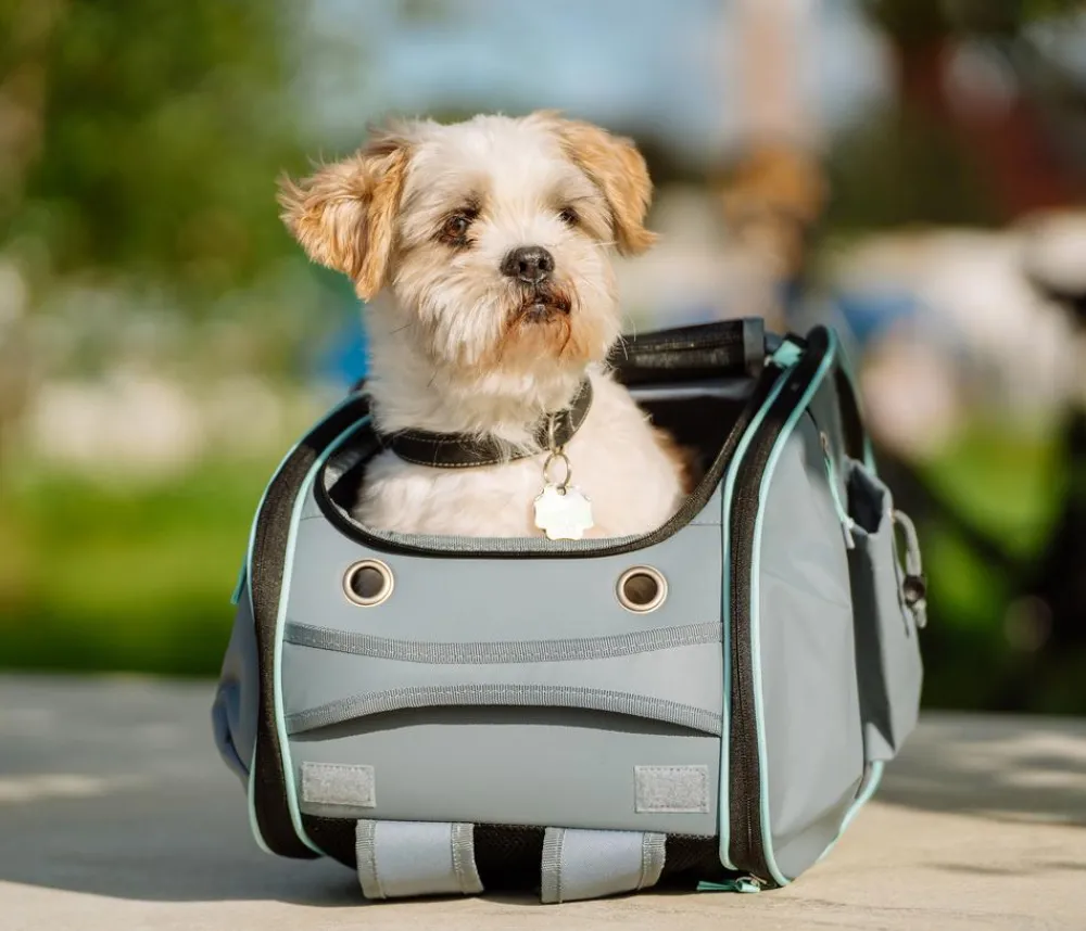 Nobby® Mehr Katzenzubehör|Hundetransportboxen > Nobby Multifunktions-Rucksack Nomad, ca. B26/H27/T45 cm
