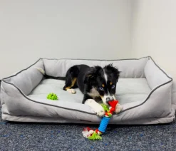 Nobby® Betten & Kissen|Hundebetten & Körbe > Nobby Orthopädisches Komfortbett Lago, rechteckig, hell, ca. B90/H24/T70 cm