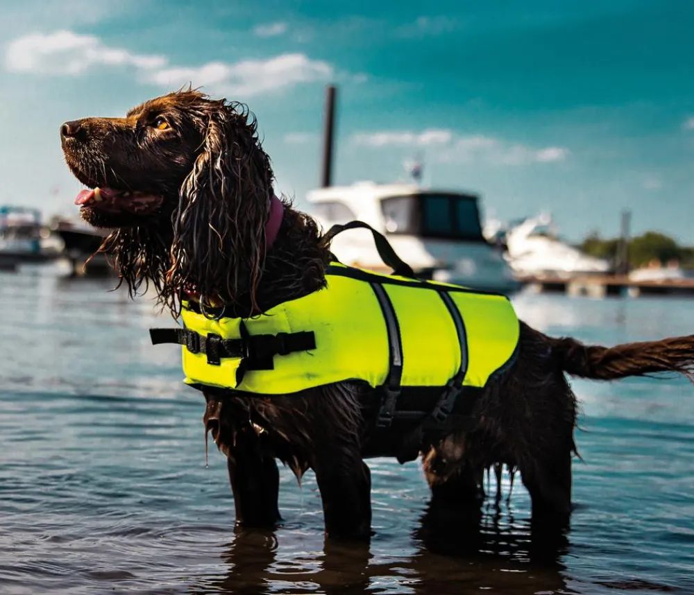 Nobby® Nobby Schwimmhilfe für Hunde, neon Gelb New