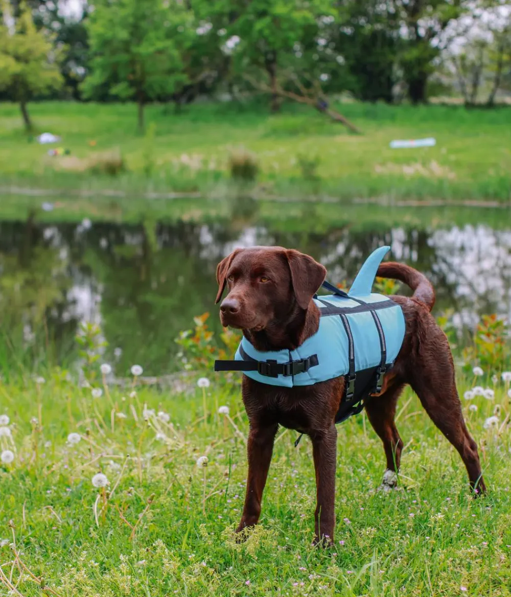 Nobby® Mehr Hundezubehör|Mehr Transport & Unterwegs > Nobby Schwimmhilfe für Hunde Sharki,