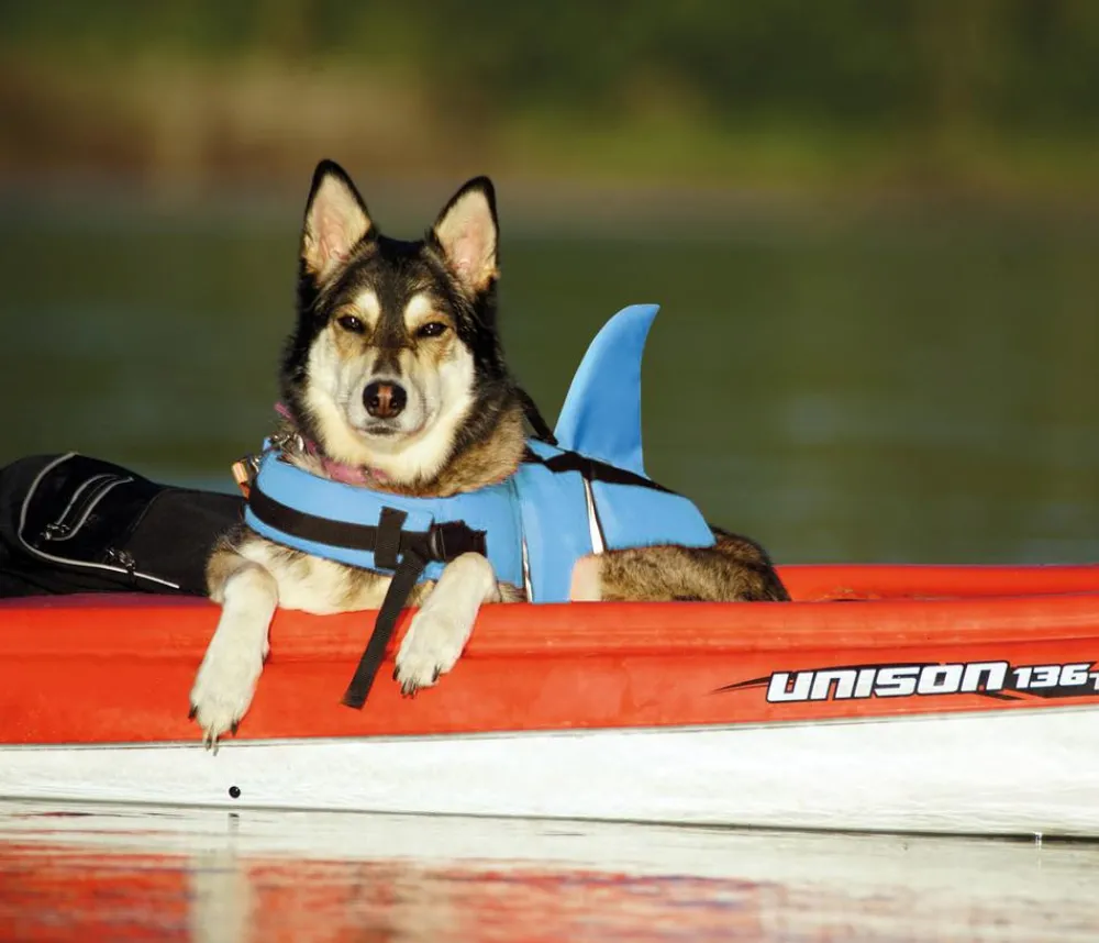 Nobby® Nobby Schwimmhilfe für Hunde Sharki, Hellblau Hot