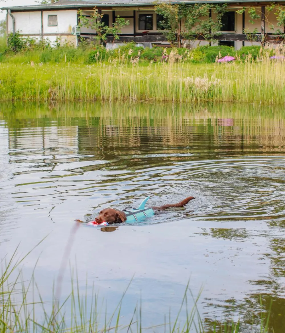 Nobby® Nobby Schwimmhilfe für Hunde Sharki, Hellblau Hot