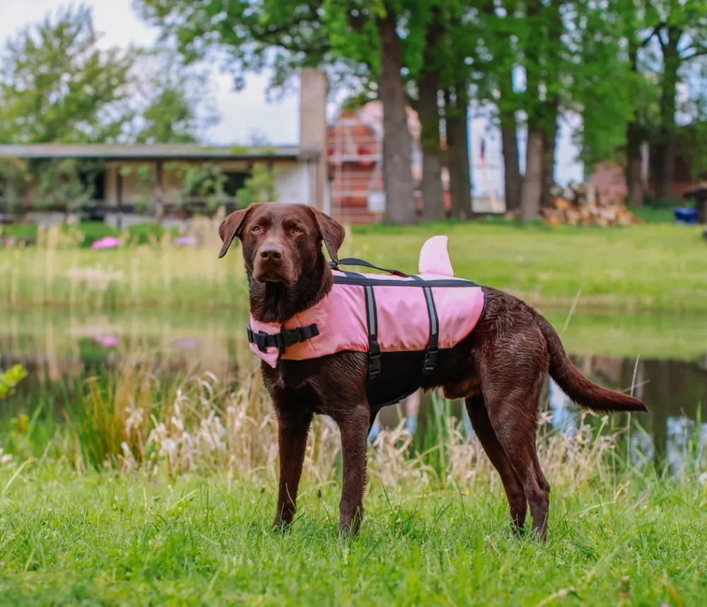 Nobby® Nobby Schwimmhilfe für Hunde Sharki, Pink Outlet