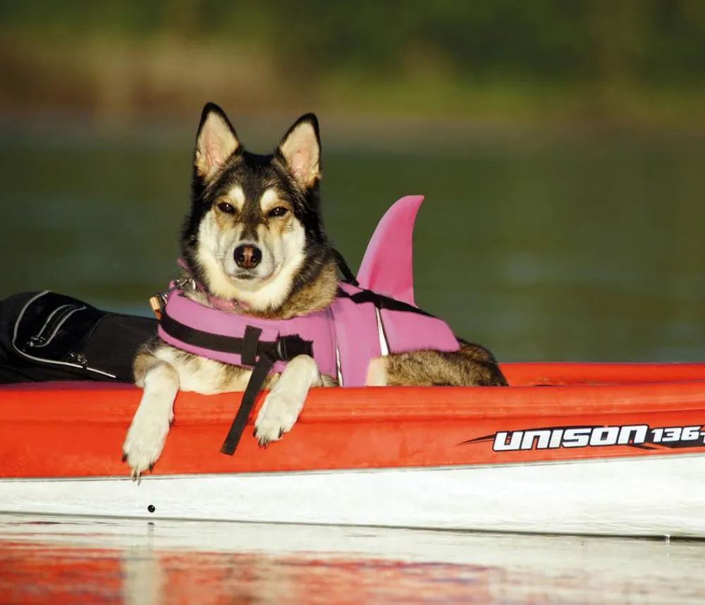 Nobby® Nobby Schwimmhilfe für Hunde Sharki, Pink Outlet