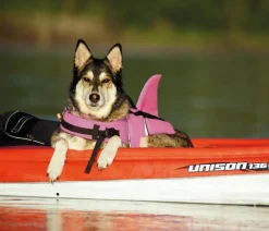 Nobby® Mehr Hundezubehör|Mehr Transport & Unterwegs - Nobby Schwimmhilfe für Hunde Sharki, Pink