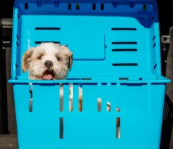Nobby® Hundetransportboxen > Nobby Transportbox Pet Daddy II, ca. B37/H33/T55 cm