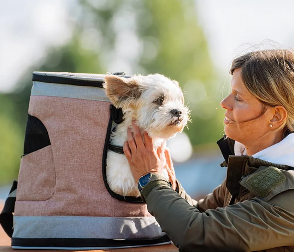 Nobby® Mehr Katzenzubehör|Hundetransportboxen > Nobby Transportrucksack Plata