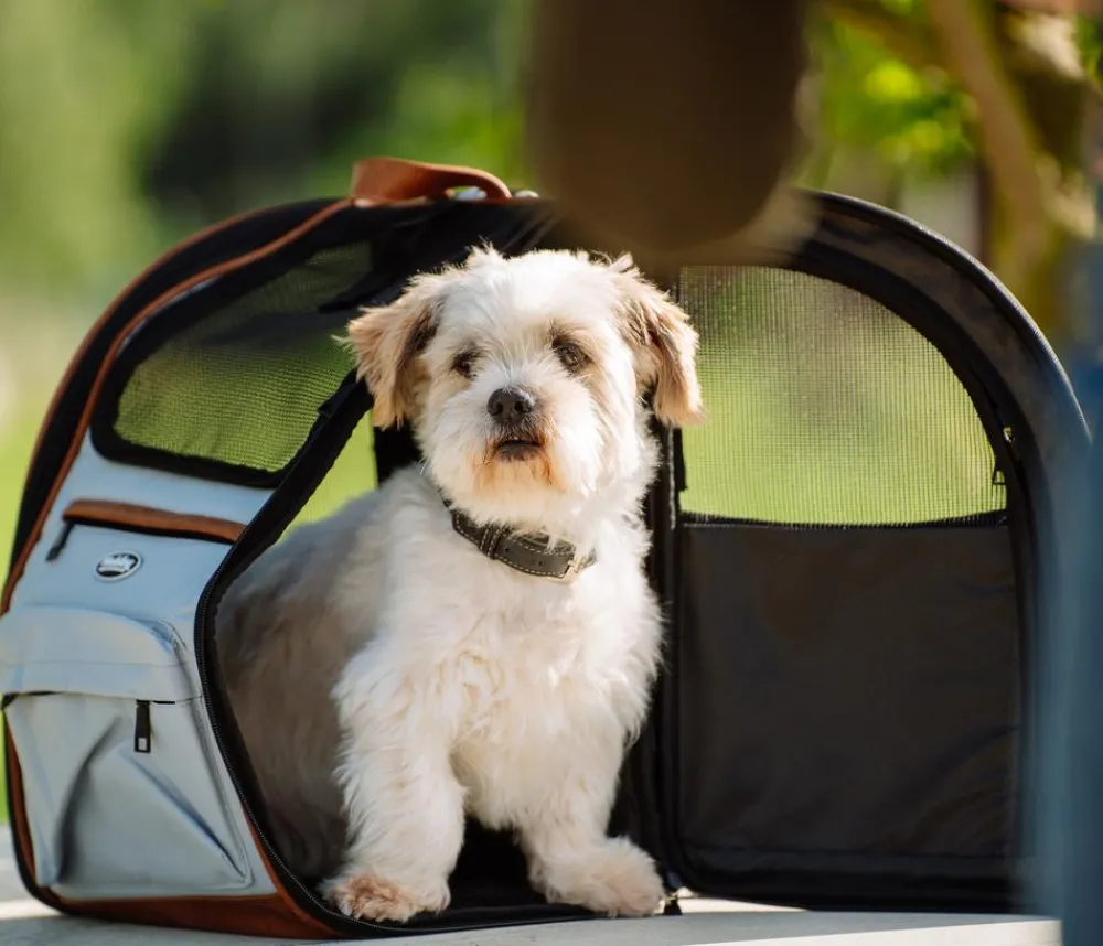 Nobby® Hundetransportboxen - Nobby Transportrucksack Tomek, ca. B43/H28/T20 cm