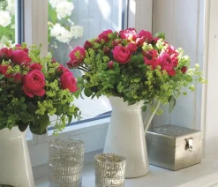 Dehner Noblesse® Spray-Rose 'Magic Rokoko®' Pink Online