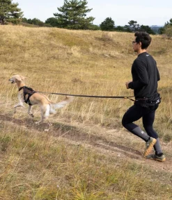 Non-stop dogwear Mehr Hundezubehör|Mehr Transport & Unterwegs > Bauch-Laufgurt Trail light belt,