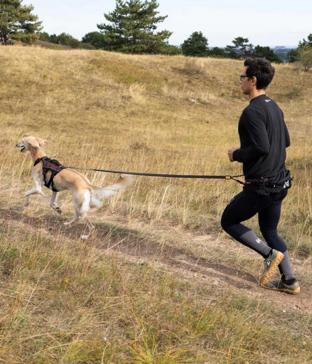 Non-stop dogwear Mehr Hundezubehör|Mehr Transport & Unterwegs > Bauch-Laufgurt Trail light belt,