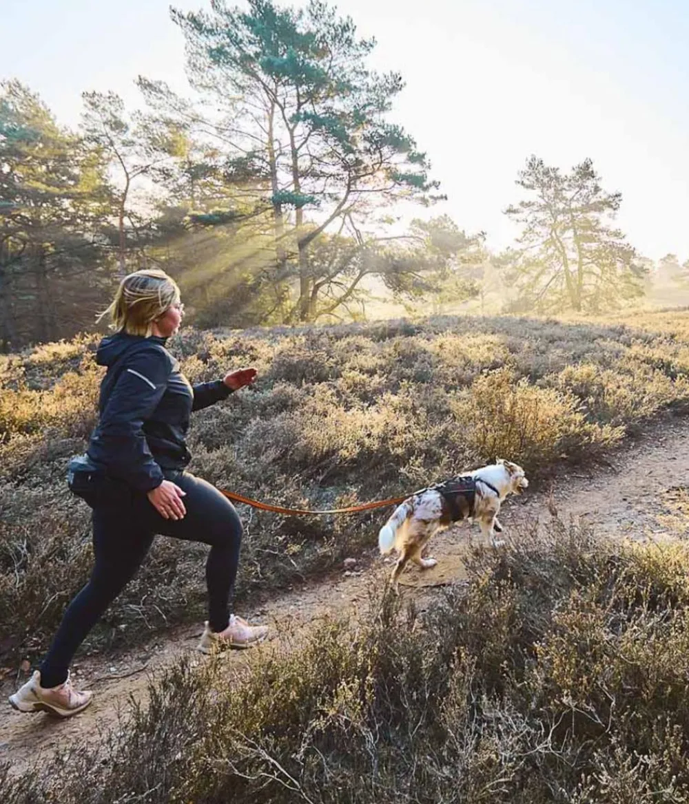 Non-stop dogwear Mehr Hundezubehör|Mehr Transport & Unterwegs > Bauch-Laufgurt Trail light belt,