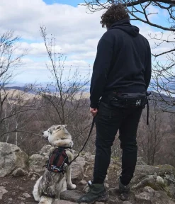 Non-stop dogwear Mehr Hundezubehör|Mehr Transport & Unterwegs > Bauch-Laufgurt Trail light belt,